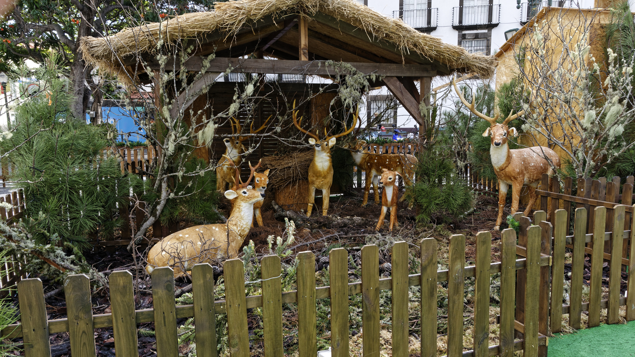 20191218 122822•Nossa Senhora do Monte•Madeira•Portugal